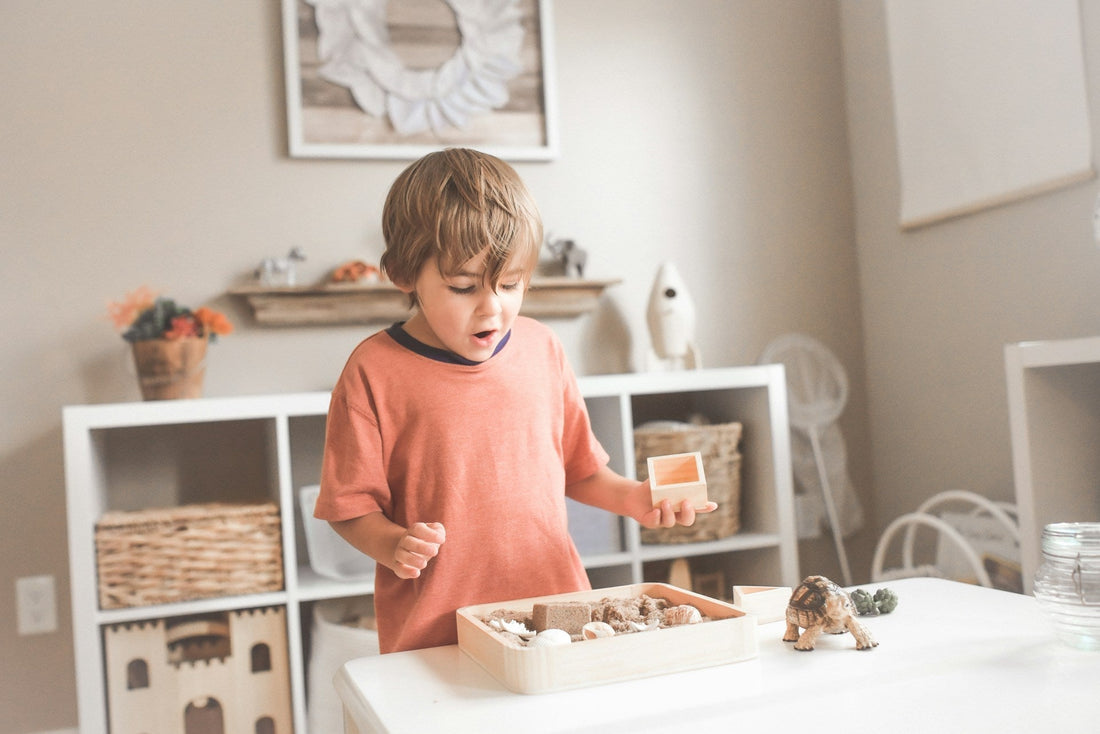 Teaching for Imagination, Play & Transcendent Thinking